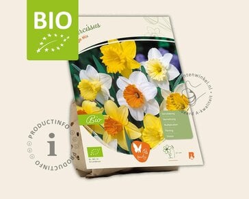 Narcissus Large Mix - BIO