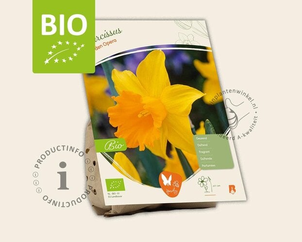 Narcissus 'Garden Opera' - BIO
