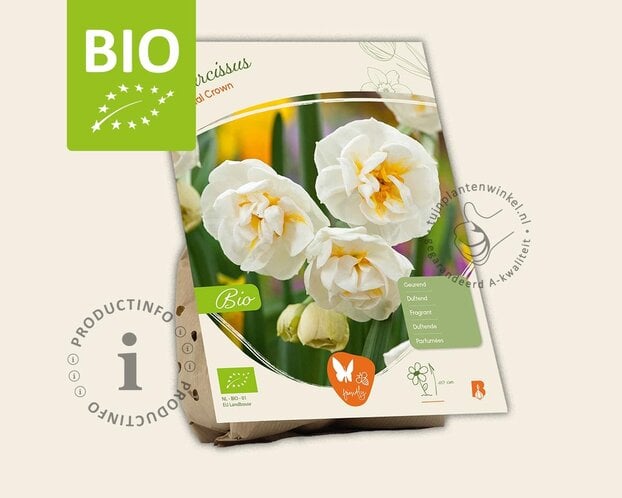 Narcissus 'Bridal Crown' - BIO