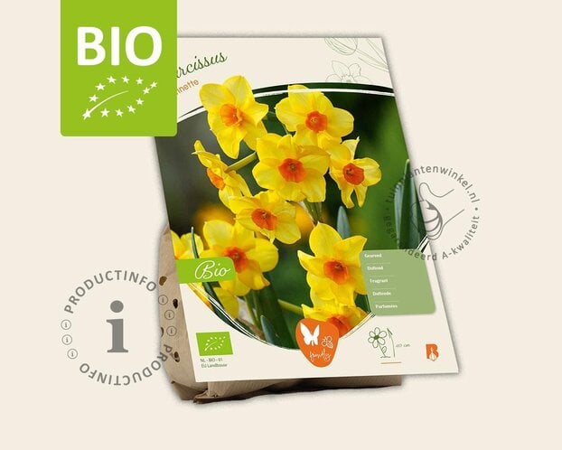 Narcissus 'Martinette' - BIO