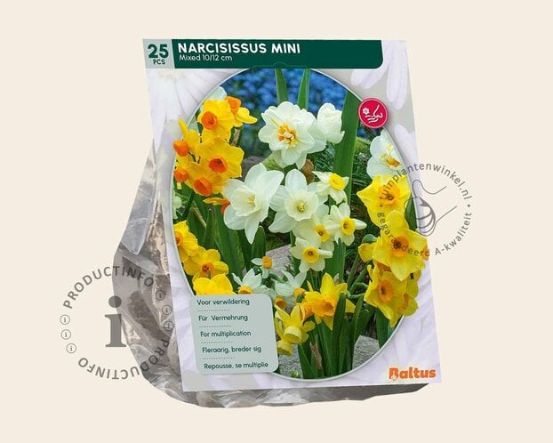 Narcissus Mini Mix