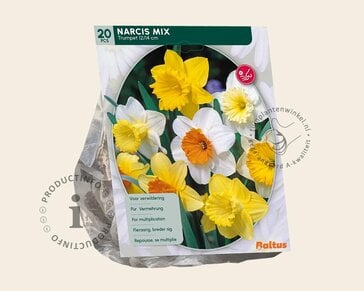 Narcissus Mix Trumpet