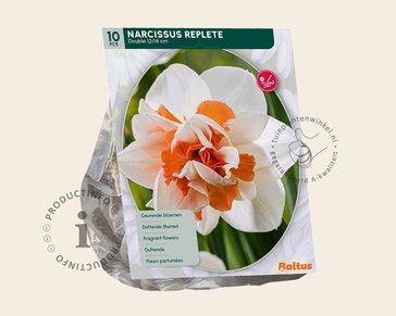 Narcissus 'Replete'