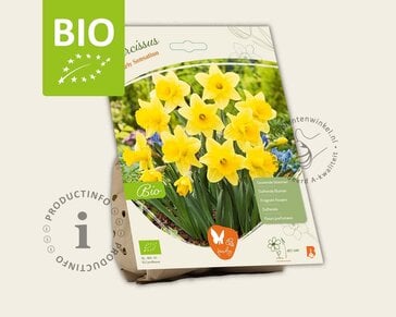 Narcissus 'Rijnvelds Early Sensation' - BIO