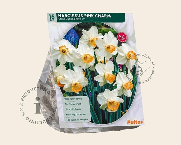 Narcissus 'Pink Charm'
