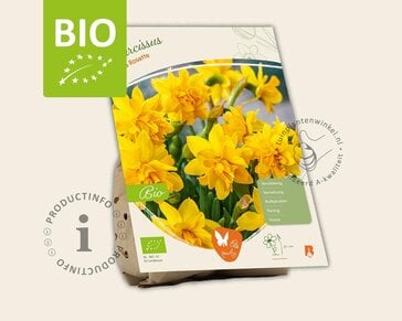 Narcissus Tête Rosette - BIO