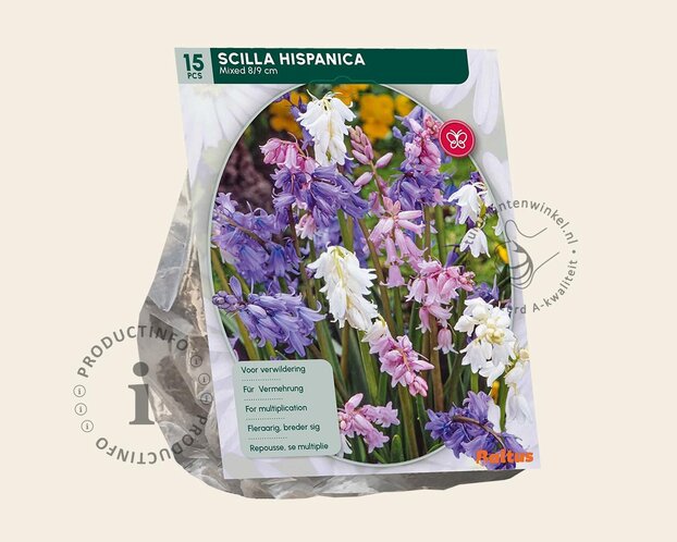 Scilla hispanica Mix
