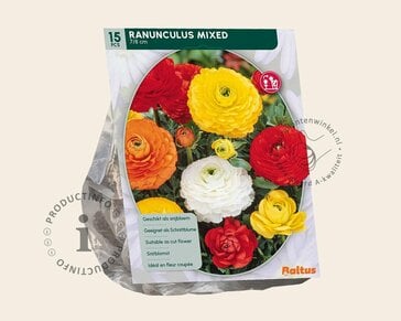 Ranunculus Mix