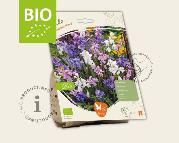 Scilla hispanica Mix - BIO
