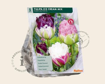 Tulipa Ice Cream Mix image