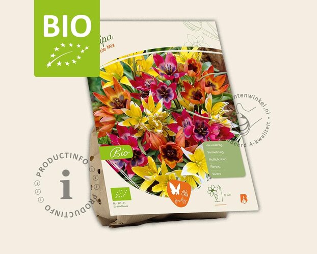 Tulipa Specie Mix - BIO