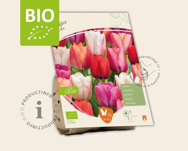 Tulipa Pink Mix - BIO