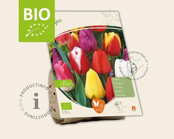 Tulipa Mix - BIO image