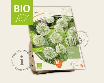 Allium nigrum - BIO