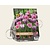 Tulipa Royal Ribbons