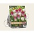 Tulipa Virgin Dreams