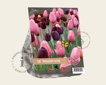 Tulipa Twilight Zone image