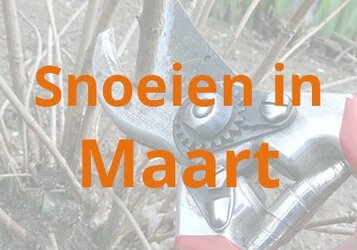 Snoeien in maart