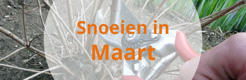 Snoeien in maart