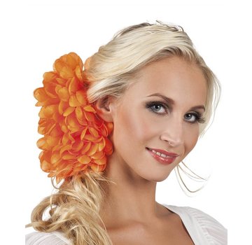 Haaraccessoires oranje