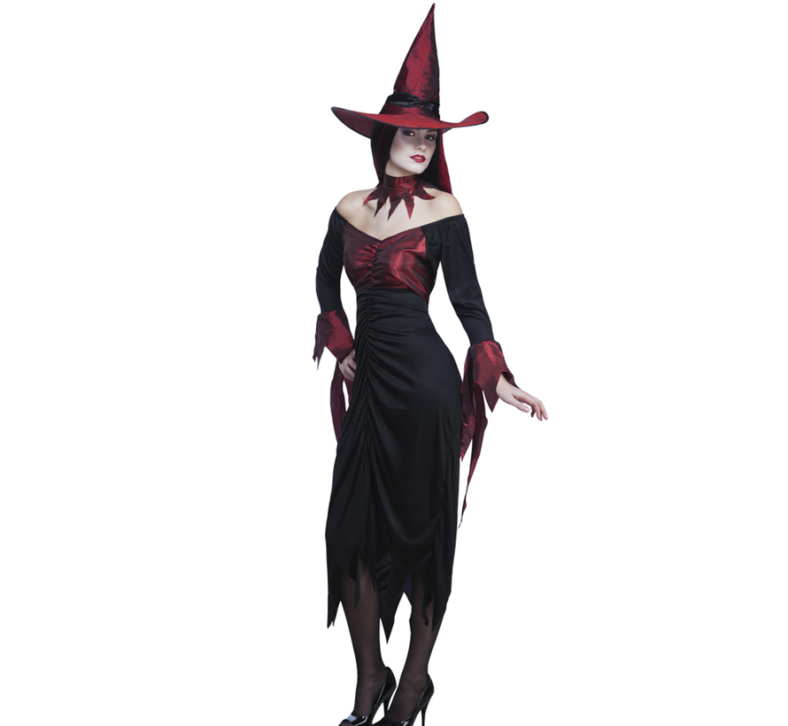 Halloween kleding wicked witch