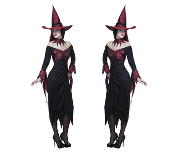 Halloween kleding wicked witch