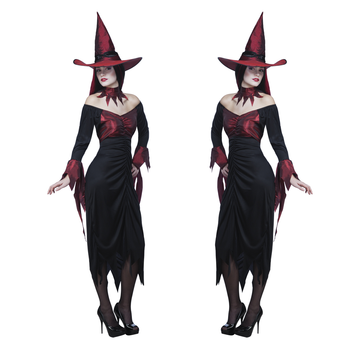 Halloween kleding wicked witch