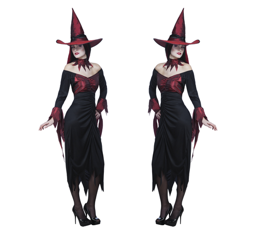 Halloween kleding wicked witch