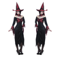 Halloween kleding wicked witch