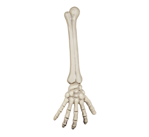 Decoratie skelet arm halloween