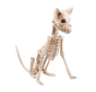 Halloween hond skelet Decoratie