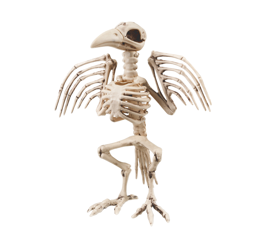 Halloween kraaien skelet decoratie