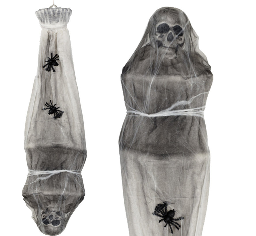 Horror spinnen cocon zak met een skelet
