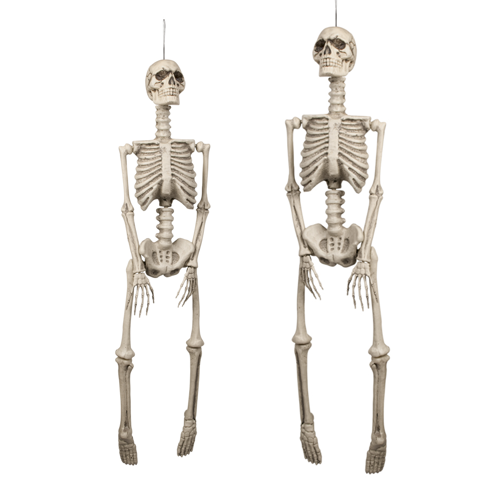 vergroting spreker spuiten Halloween skelet mens decoratie - Partycorner.nl