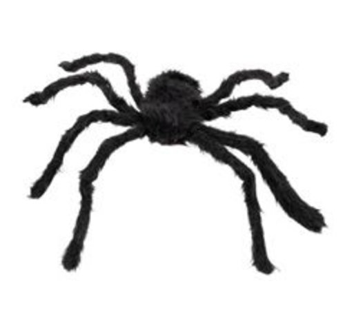 Harige spin zwart kopen