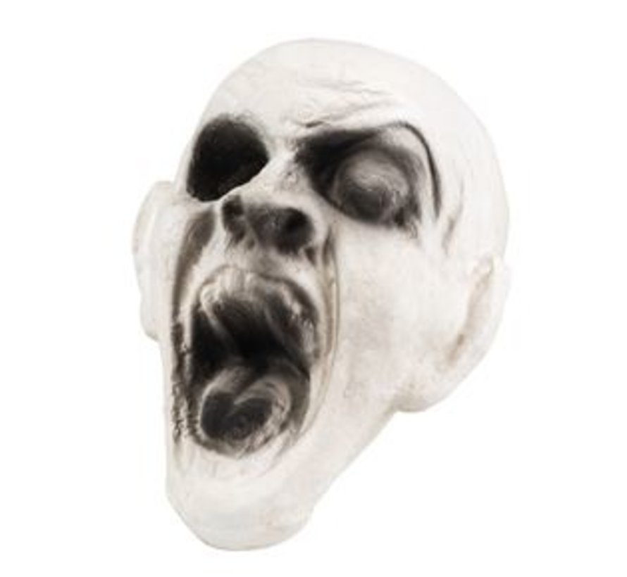 Decoratie zombie hoofd