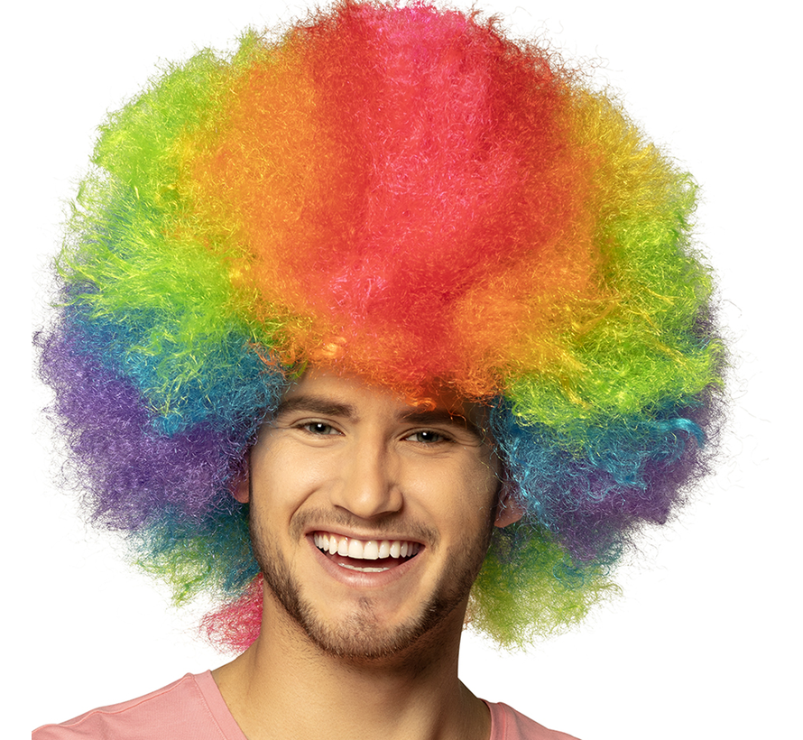 Regenboog afro pruik mannen