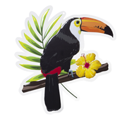 Muur Decoratie Toucan