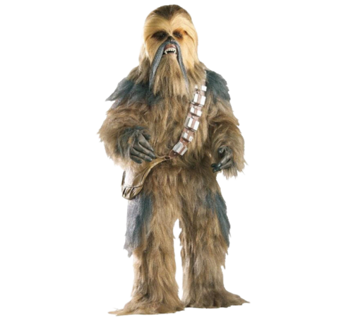 Jasje consultant Wiskundige Star Wars Chewbacca kostuum - Partycorner.nl