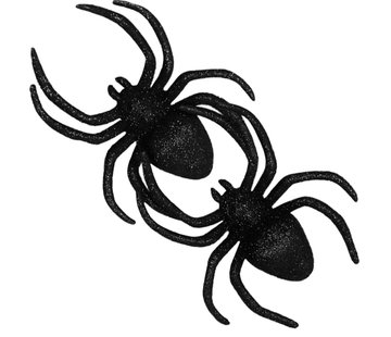 Spinnen gleaming spiders