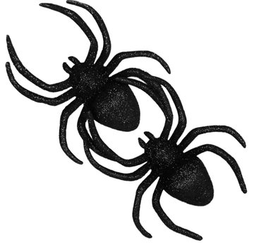 Spinnen gleaming spiders