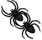 Spinnen gleaming spiders Halloween