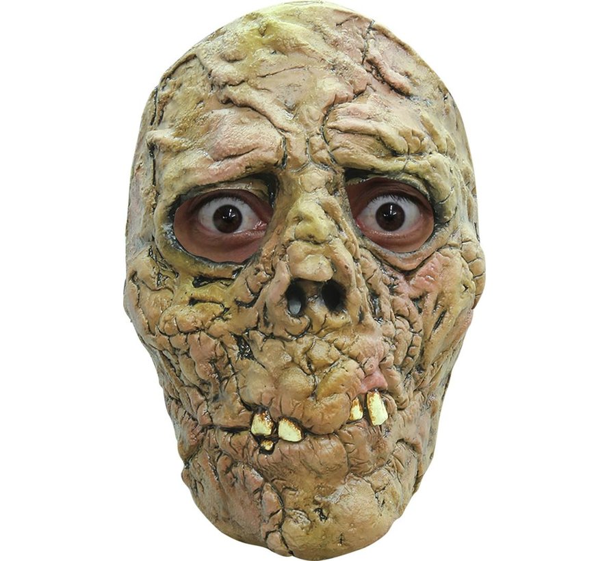 Half gezichtsmasker zombie  rottend aangezichts