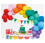 Organic ballonnen slinger regenboog