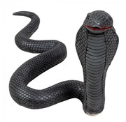 Latex cobra