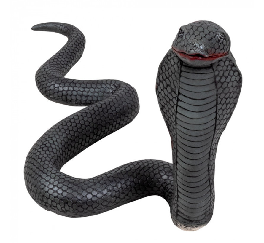 Latex cobra