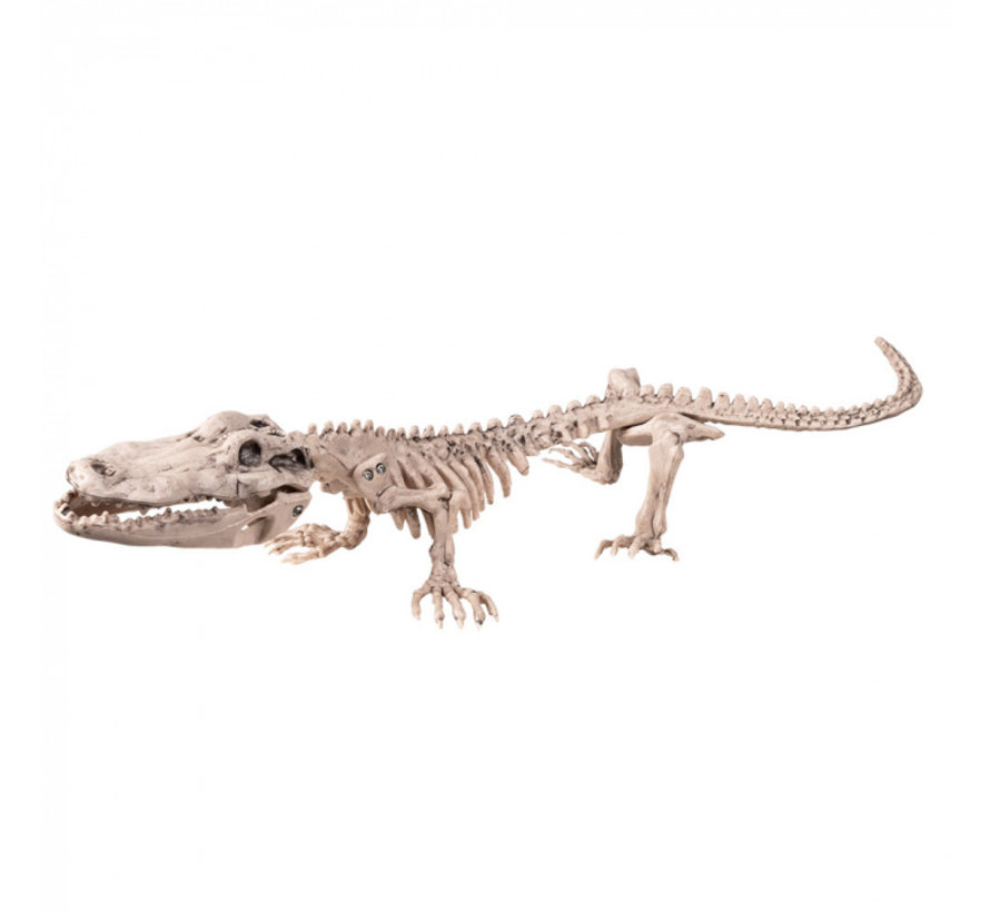 Kunststof krokodillen skelet