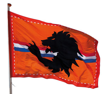 Nederlandse vlag XL (300 x 200 cm)