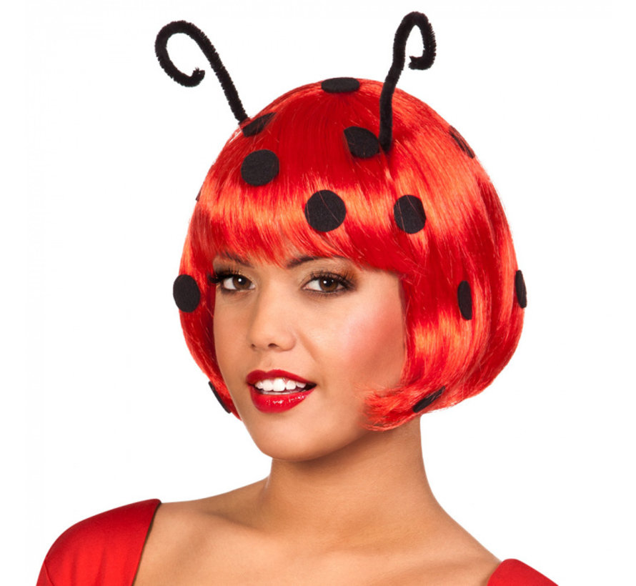 Lieveheersbeestje pruik Ladybug