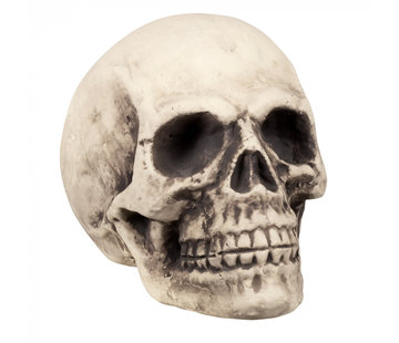 Schedel skelet Halloween